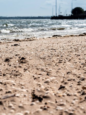 Téléchargez les photos : Plage de sable brun avec coquillages et la mer et les vagues en arrière-plan - en image libre de droit
