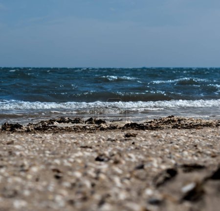 Téléchargez les photos : Plage de sable avec des pierres et des coquillages et la mer bleue avec des vagues en arrière-plan - en image libre de droit
