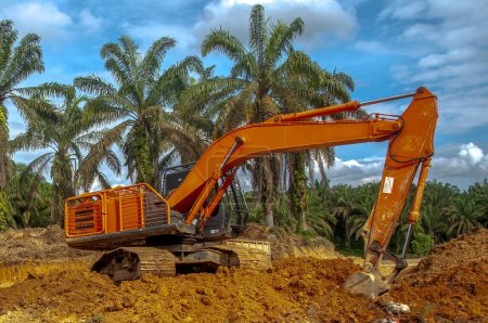 Foto de Excavadoras en plantaciones de aceite de palma - Imagen libre de derechos