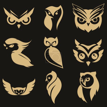 vector image illustration of a collection of owl