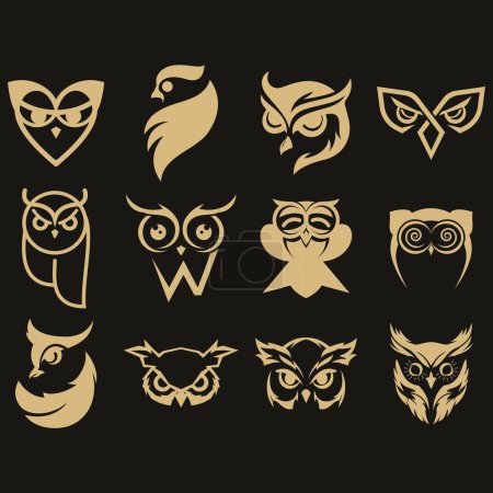vector image illustration of a collection of owl