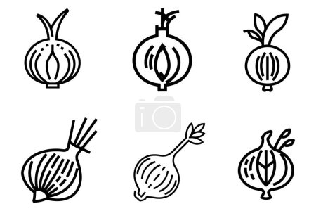Onion Icon Set Vector Design auf weißem Hintergrund Illustration
