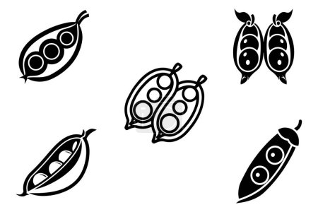 Bean Vector Silhouette Outline Silhouette Icons In White Background