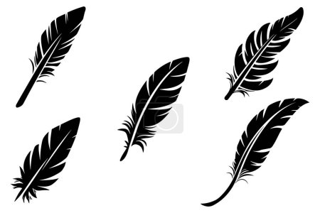 Bird Feather Vector outline vector on white background illustration