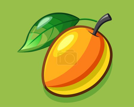 Orange Mango Vektor auf weißem Hintergrund