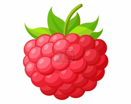 Photo for Red testy Raspberry vector illustration - Royalty Free Image