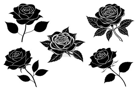 Silueta negra ilustración de una rosa sobre fondo blanco