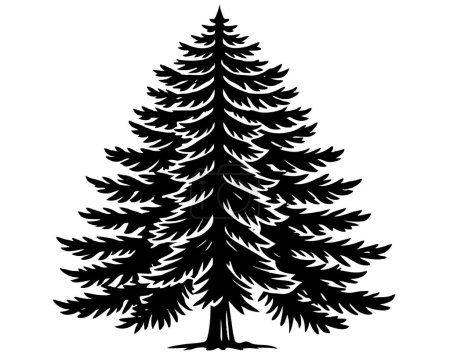 Silhouette of tall pine tree on a white background Vector illustration