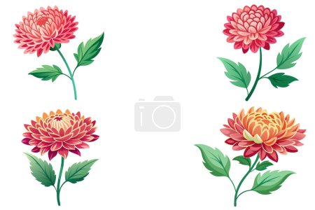 Ramo de flores dalias diseño vectorial ilustración