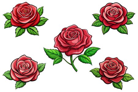 Rose flower set vector design illustration