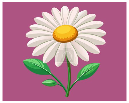 Dessin animé Daisy Flower Vector Design sur fond blanc illustration