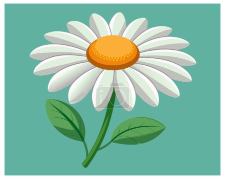 Dessin animé Daisy Flower Vector Design sur fond blanc illustration