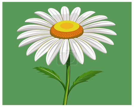  Dessin animé Daisy Flower Vector Design sur fond blanc illustration