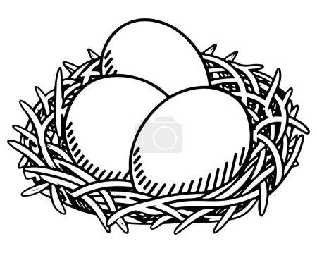 Ei im Nest gezogen Vektor