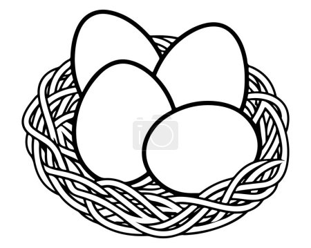 Egg in the nest drawn vector