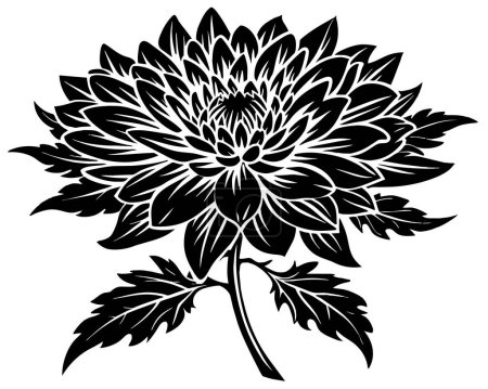 Téléchargez les illustrations : Vecteur de fleur de chrysanthème de silhouette noire - en licence libre de droit