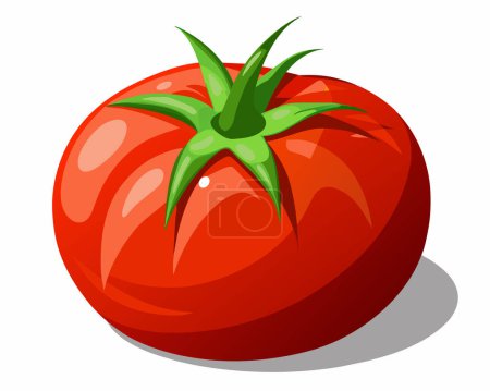 Designvektor für rote Tomaten