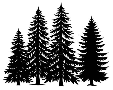Black Spruce Trees Winter season design illustration vector