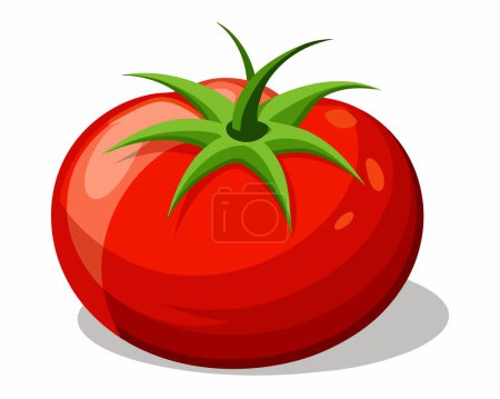 Tomate fresco rojo maduro grande sobre un vector de fondo blanco