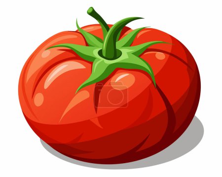 Big ripe red fresh cut tomato on white background vector