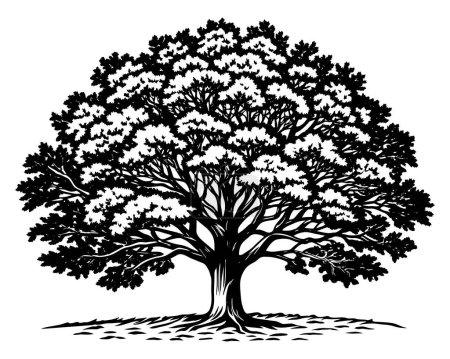Photo for Very Big Tree Silhouette Vector - Royalty Free Image