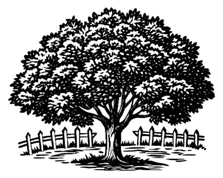 Illustration for Tree and grass silhouette - Royalty Free Image