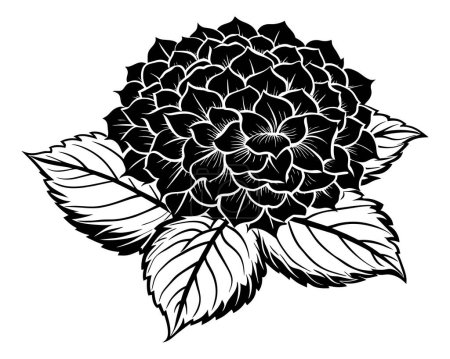 vector de flor blanco y negro