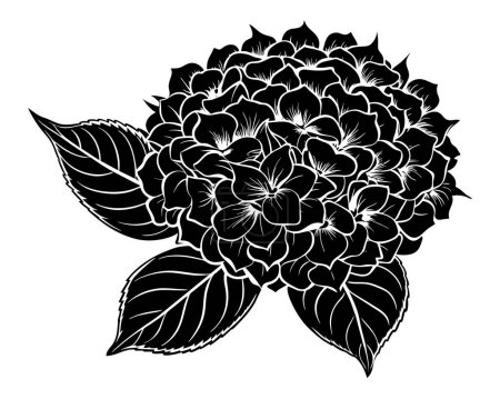 Black and white flower vector