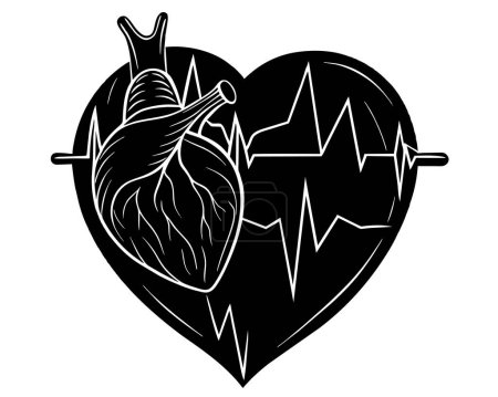 Corazón y latidos del corazón vector