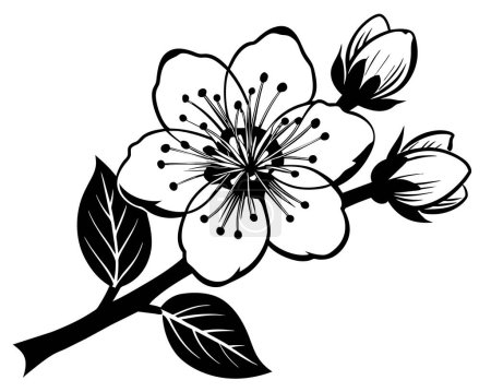 Téléchargez les illustrations : Vecteur d'ornement de branche de fleur noire et blanche - en licence libre de droit