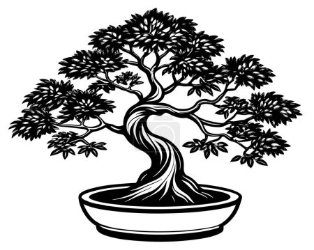 Photo for Bonsai tree isolated on white vector - Royalty Free Image