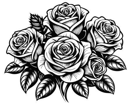 Vektor der schwarzen und weißen Rose