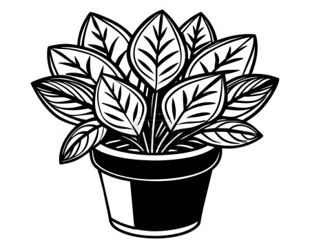 Plant Flower in A Pot Vector Icon