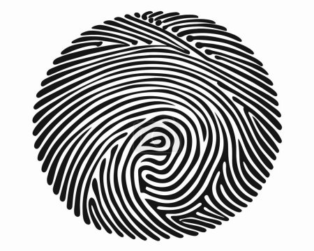 Fingerprint identification vector design
