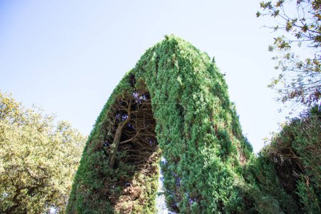 Jardin historique néoclassique Parc del Laberint d'Horta, Barcelone, Espagne, Durabilité, Conservation de l'environnement, Protection de la biodiversité