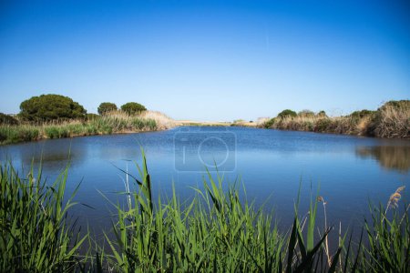 Happy Earth Day,Heal the Planet Earth,Delta del Llobregat in Barcelona,Spain,Sustainability,conserving the environment,Protecting biodiversity