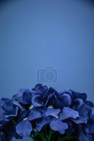 Lebendige künstliche blaue Hortensienblüte vor kobaltblauem Hintergrund.
