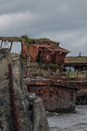 Das alte Whakatiiwai-Schiffswrack an der Seabird Coast am Westufer des Firth of Thames im Distrikt Hauraki, Neuseeland. Die HMNZ Hinau, ein Minensuchboot aus dem Zweiten Weltkrieg.