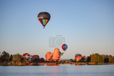 Photo for Hamilton, New Zealand, 14 March 2023: Balloons over Waikato at dawn, view from across the lake - Royalty Free Image