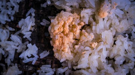 Dieses Bild zeigt weiße Reiskörner, die mit schwarzem und braunem Schimmel bedeckt sind. Der Reis riecht säuerlich und ist unsicher zu essen. Schimmel auf Reis ist gesundheitsschädlich und kann krank machen.
