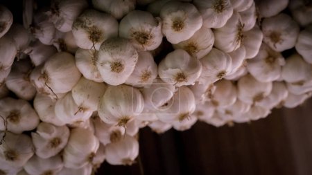 The mold growing on garlic in the picture is black mold (Aspergillus niger), a type of mold that is commonly found. Can create toxins that are harmful to the human body.