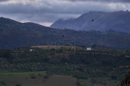 Photo for Ronda town surroundings Spain landscape. High-quality photo - Royalty Free Image