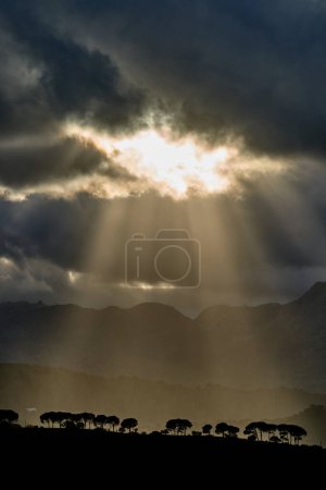 Photo for Ronda town surroundings Spain landscape. High-quality photo - Royalty Free Image