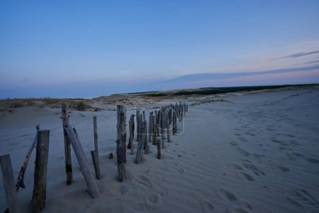 evening dunes Lithuania landscape image. High quality photo