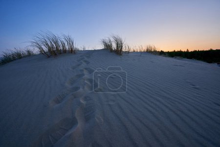 dunes du soir Lituanie image de paysage. Photo de haute qualité