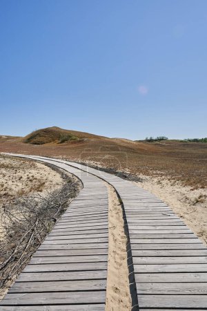 Dunes lituaniennes herbe sablonneuse et ciel dégagé. Photo de haute qualité
