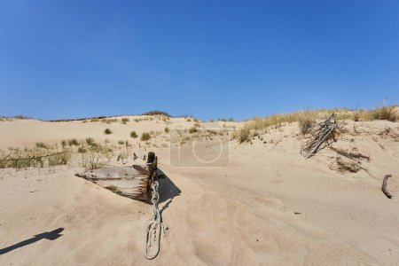 Lithuanian dunes sandy grass and clear sky. High quality photo