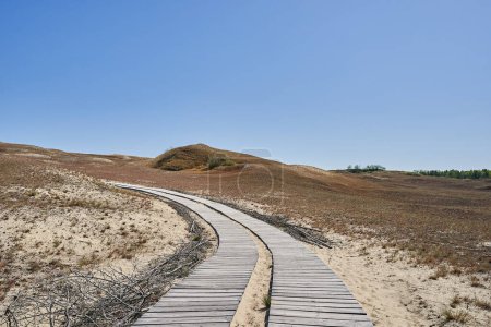 Dunes lituaniennes herbe sablonneuse et ciel dégagé. Photo de haute qualité