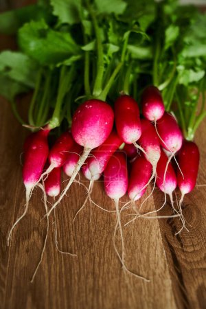 Photo for Fresh radish on table close up. High quality photo - Royalty Free Image