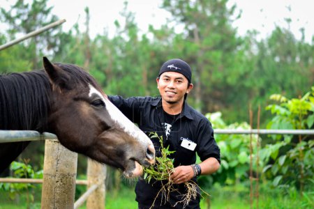 Foto de Un hombre alimentando a un caballo una planta en una zona vallada - Imagen libre de derechos